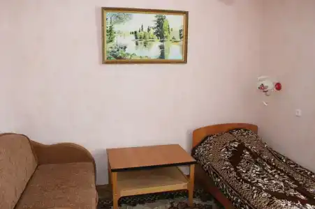 Gostinitsa Birsk - 81