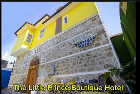 The Little Prince - 6