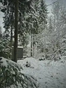 Neshalashi Lesnoy - 29