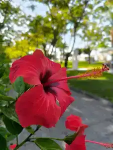 Labranda Alantur - 19