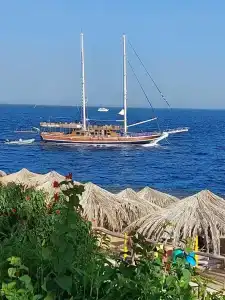 Sharm Club Beach Resort - 3