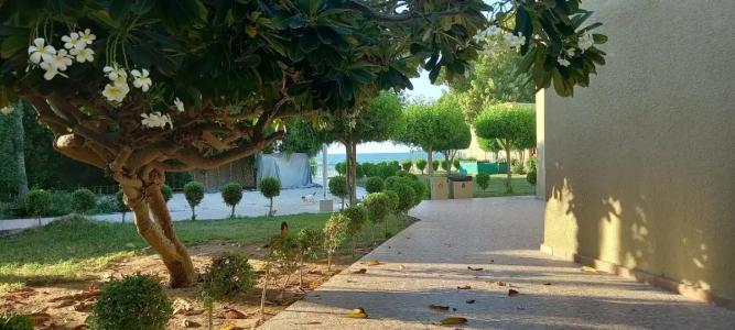Occidental Sharjah Grand - 38