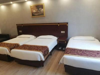B&B Drago D'Oro - 22