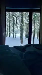 Neshalashi Lesnoy - 98