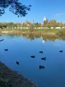 Spasskoe Park-Hotel - 40