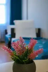 Distrikt Marina na Promyshlennoy - 12