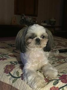 Парк-Замковый - 49