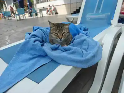 Kleopatra Ramira - All Inclusive - 2