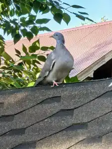 Uralskaya derevnya Tourist base - 26