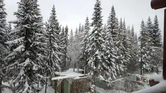 Rus' Mini-Hotel - 30