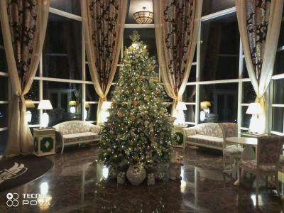 Volynskoye Congress Park - 98