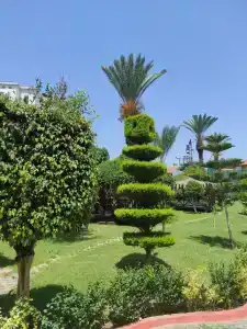 Alaiye Resort & Spa - All Inclusive - 8