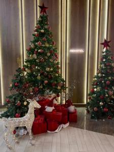 Novotel Arkhangelsk - 28