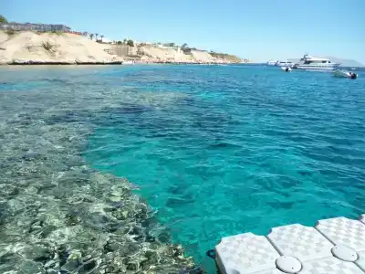 Shark Bay Oasis - 25