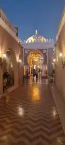 Pickalbatros Jungle Aqua Park - Neverland - 69