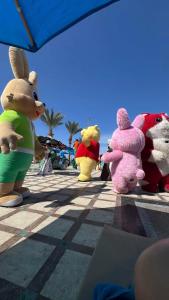 Gravity Resort Families & Couples only - 54