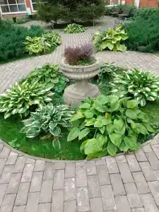 Imperial Wellness & SPA - 36