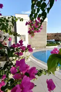 Royal Palm Residence - 15