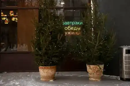 Астра - 14
