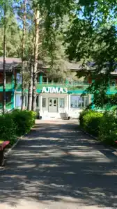 Almaz - 1
