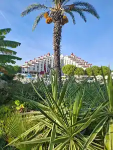 Green Max - All Inclusive - 12