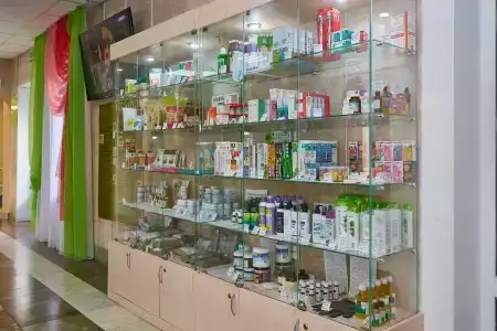 Rus Health Resort - 33