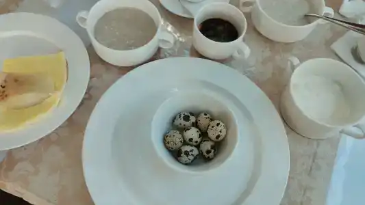 Sanatorium Bukovaya Roshcha - 33