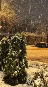 Boutique-Corona - 18