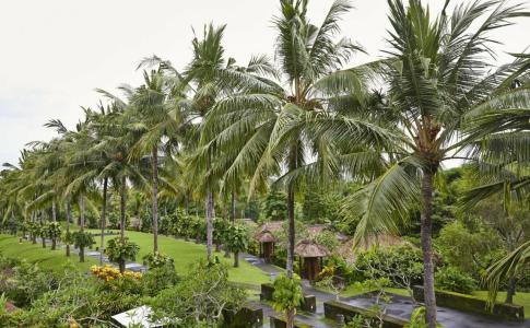 Maya Ubud Resort & Spa - 27