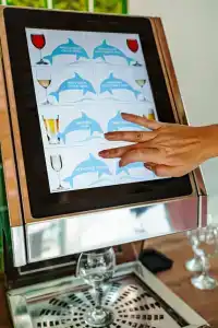 Pansionat DUBLIN-DOLPHIN - 28