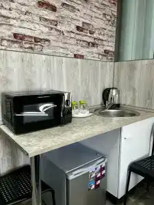 Samsonov Mini-on Stachek Avenue - 59