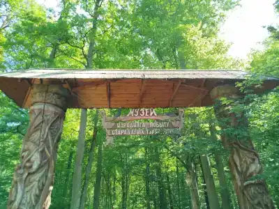 Complex Kamenyuky - 64