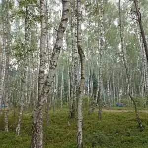 Агроусадьба Здоровей - 92