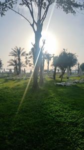 Labranda Alantur - 37