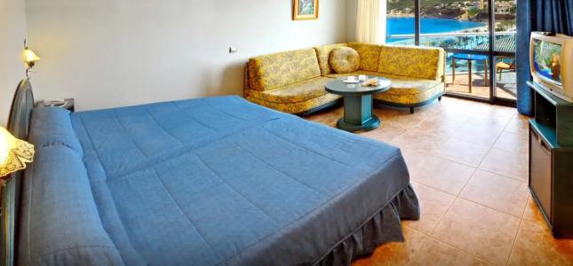 Kaktus Kaktus Albir - 49