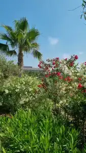 Sunmelia Beach Resort & Spa-All Inclusive - 13