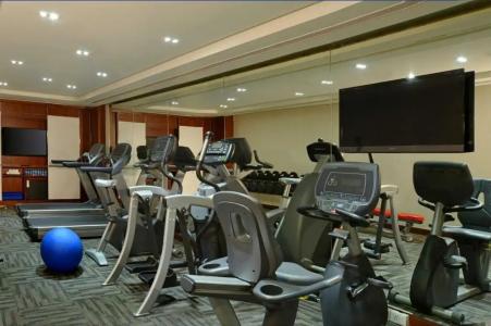 Radisson Blu Jaipur - 44