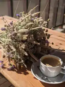 Frische Nehrung - 22