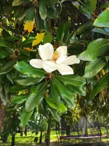 Wellness Park All-Inclusive - 15