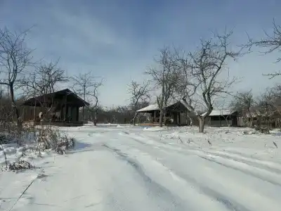 Usadyba Kosolapovo Recreation camp - 8