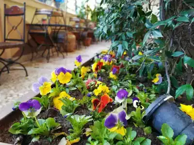 Antea Palace & Spa - 44