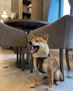 CALVARY & Restaurant Vilnius - 7