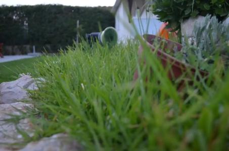 Kremasti Memories - 18