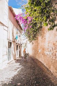 Santiago de Alfama - Boutique - 9