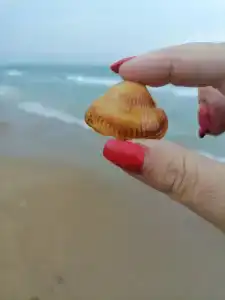 ОАЗИС домики - 33