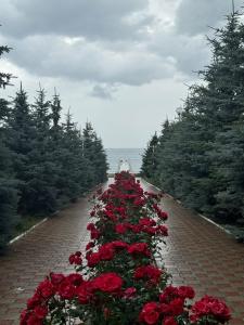 Simiram Resort - 8