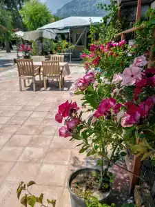 Saint Star Kemer - Adult Only +16 - 18