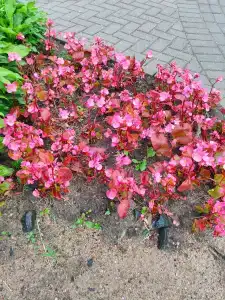 Беларусь - 90