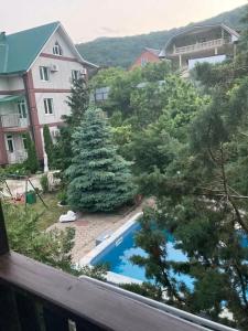 Sibiryachka - 12