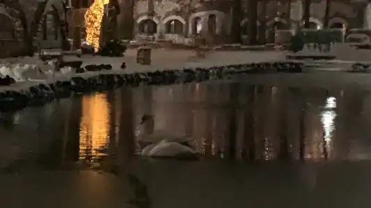 Usadba Meshcherskaya Park-Hotel - 49